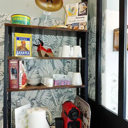 Chic Ultra Cozy Boho Au Port Of Apartment Nice