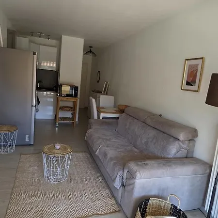 Apartment Avec Terrasse - Piscine - Tennis - Gardien Nice