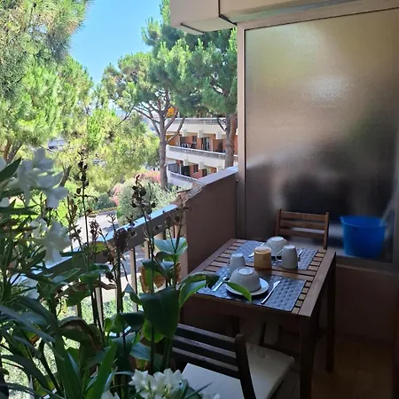 Apartment Heaven Nice