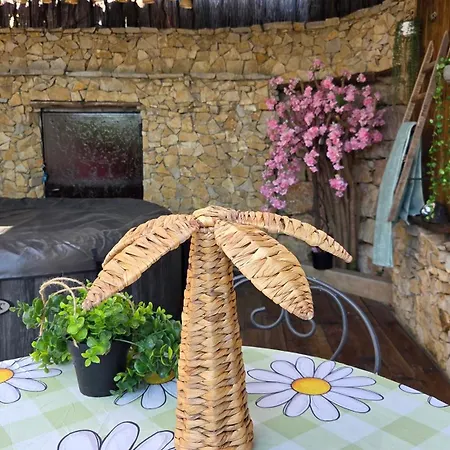Avec Jardin Prive & Jacuzzi Apartment Nice