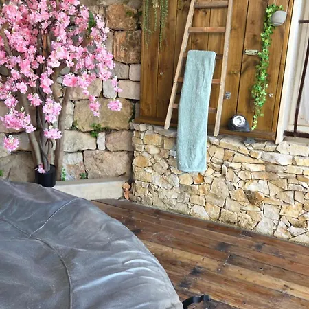 Avec Jardin Prive & Jacuzzi Nice