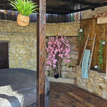Apartment Avec Jardin Prive & Jacuzzi Nice