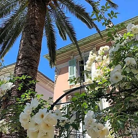 Rose Hotel Nice