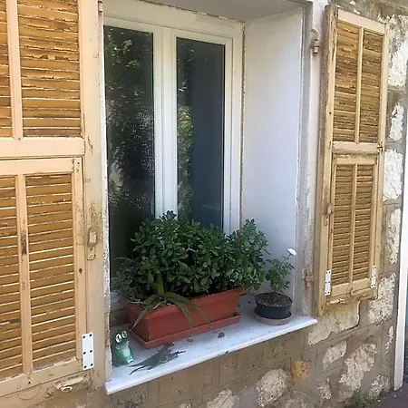 Mon Reve Nice