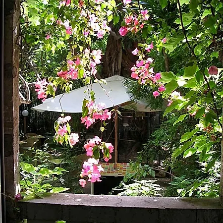 Le Windsor, Jungle Art Hotel Nice