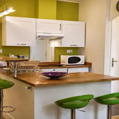 Barla 3 - A Spacious One Bedroom Near Place Garibaldi Apartment Nice