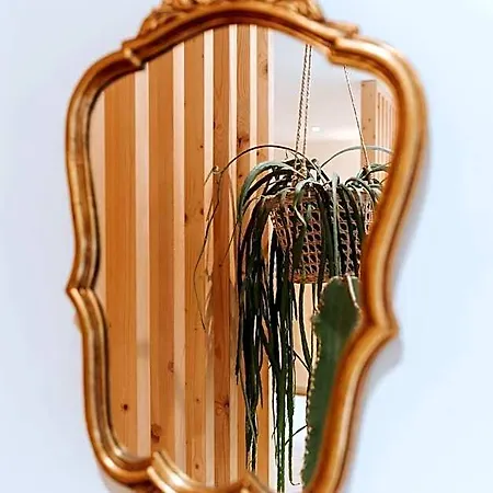 Palm Boutique Nice
