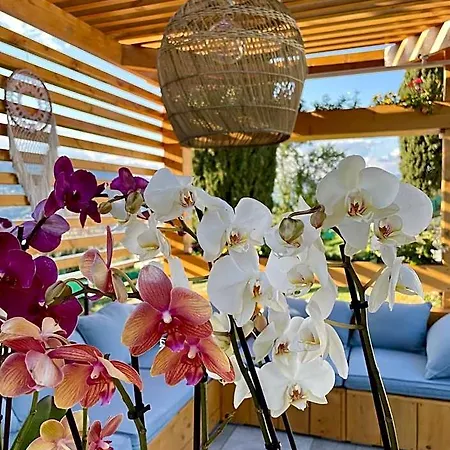 Bed & Breakfast Escondida