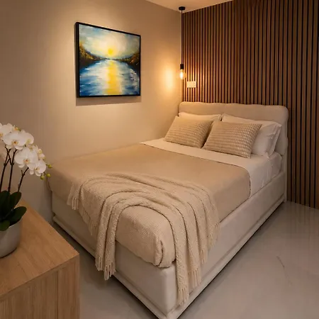 Holiday home Cocon D Amour Studio Avec Jacuzzi Terrasse Et Parking Prive Nice