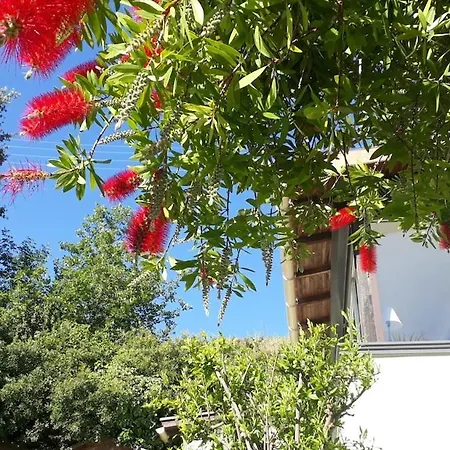 Maison Et Jardin Sur Les Hauteurs De * Nice