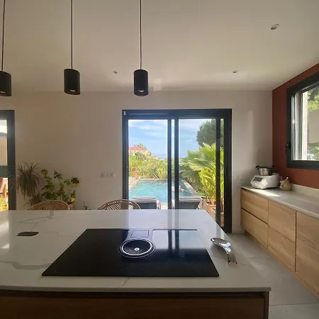 Villa House With Pool And Sea View In Nice