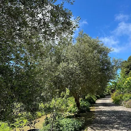 Villa Magnifique - Villefranche *