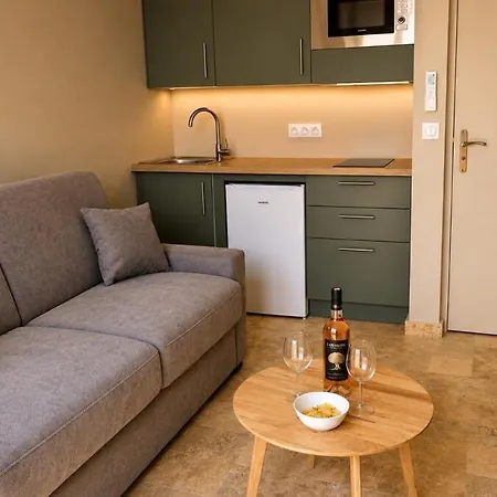 Joli T2 Neuf - Balcon - Clim - Wifi A Apartment