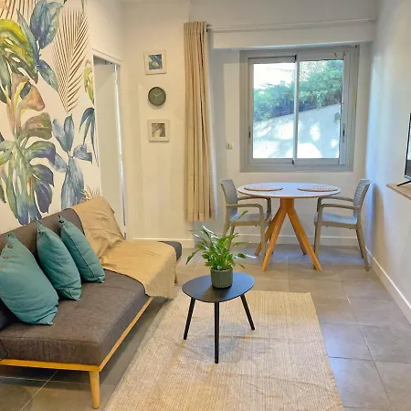 Apartment Jungle *