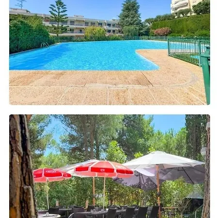 Apartment Havre De Paix Sur La Cote D'azur Nice