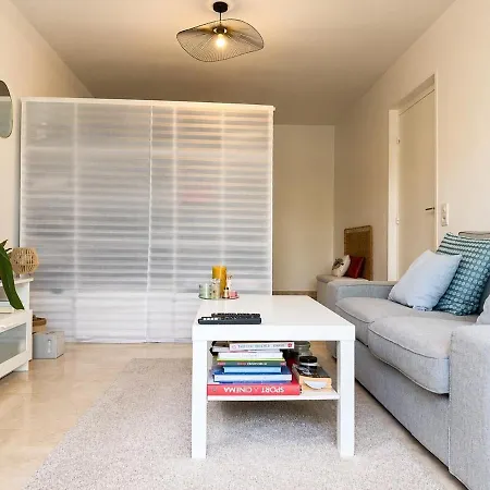 With Balcony & Parking Apartment
