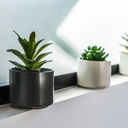Apartment Secret Nest