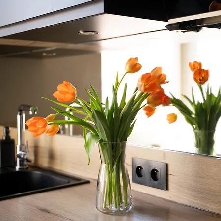 Bright 2 Center Apartment *