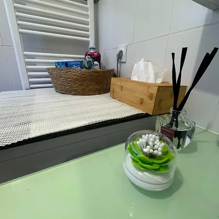 Moderne Avec Terrasse, Parking Et Clim Apartment Nice