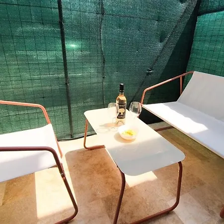 Apartment Duplex Climatise Avec Terrasse A Nice