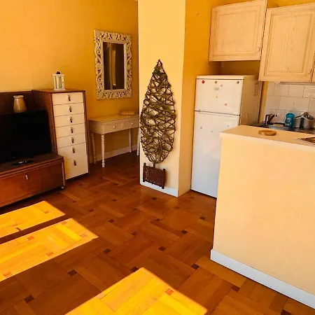 Terrace 1 Bedroom - Negresco Apartment *
