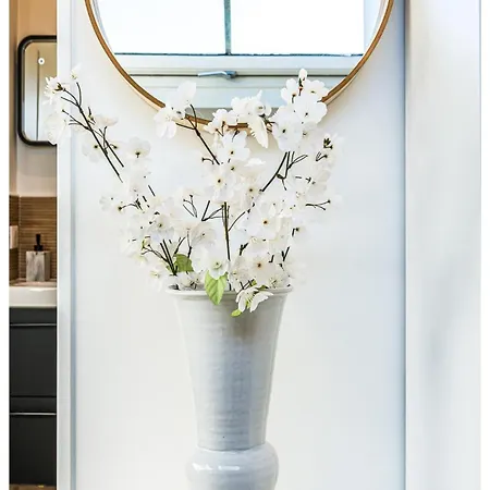 Apartment Secret Nest