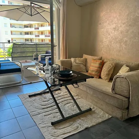 Moderne Avec Terrasse, Parking Et Clim Apartment