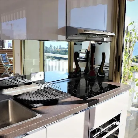 2 Rooms, New, Incredible View Of Promenade Des Apartment