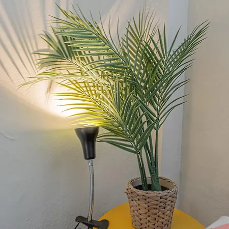 Loft Lumineux Climatise Port & Vieux-nice A Pied Apartment *