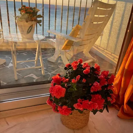 Front De 3 Pieces Apartment Nice