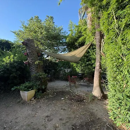 Bright With Garden Near *