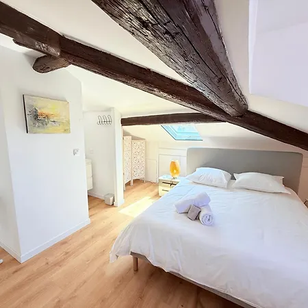Apartment Ze Perfect Place Magnifique Duplex - Coulee Verte Nice