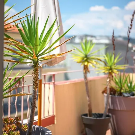 Apartment Bright & Cosy W Terrace Ac