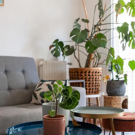Apartment Bright & Cozy - Large Sunny Terrace Nice