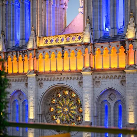 Apartment Vue Basilique Exceptionnelle - Cocon Cosy Et Luxe Nice