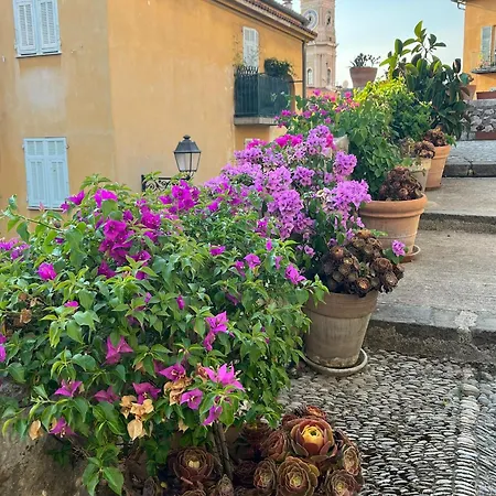 Unique Dans Le Vieux-nice! Avec Jardin Et Terrasse Apartment *