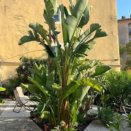Unique Dans Le Vieux-nice! Avec Jardin Et Terrasse Apartment Nice