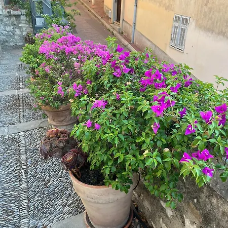 Unique Dans Le Vieux-nice! Avec Jardin Et Terrasse Nice