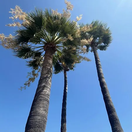 Unique Dans Le Vieux-nice! Avec Jardin Et Terrasse *