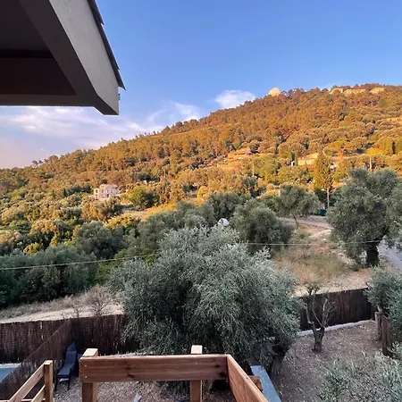 Au Coeur De * Nice
