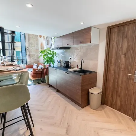Downtown Duplex, Clim, 15 Min Walk To The Sea Nice