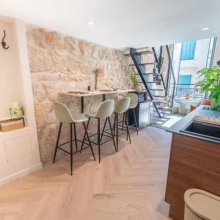 Downtown Duplex, Clim, 15 Min Walk To The Sea Apartment Nice