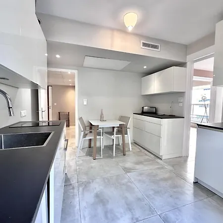 Apartment Cc G Terrasse Massenet - Private Parking Promenade Nice