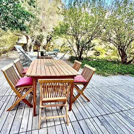 Apartment Cc G Terrasse Massenet - Private Parking Promenade