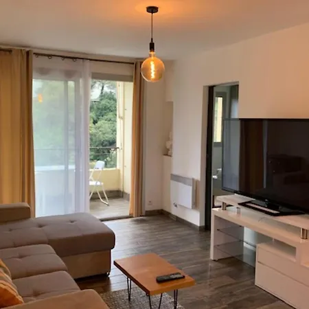 Beautiful 45 M With Balcony In Apartment Nice