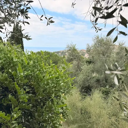 Treehouse In Les Oliviers, Sea View, Air Conditioning, Parking * Nice