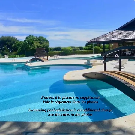 Apartment Large Terrace, Sea View, Pool, Floor, 1bedroom, Air-conditioned, Parking Nice