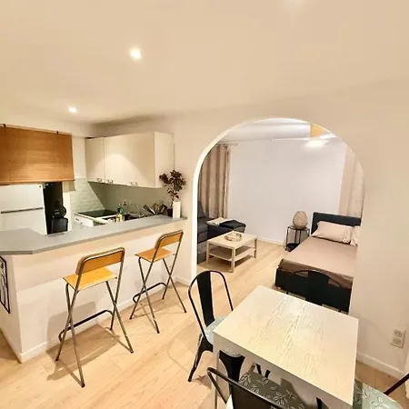 Apartment Grand 33m2 Rdc Sur Cour Calme Musiciens Nice