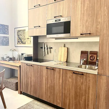 Carre Dorelegant 2 Br Apartment Nice