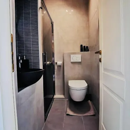 Spacieux Apparemment Dans De Luxe Avec Piscine Apartment Nice